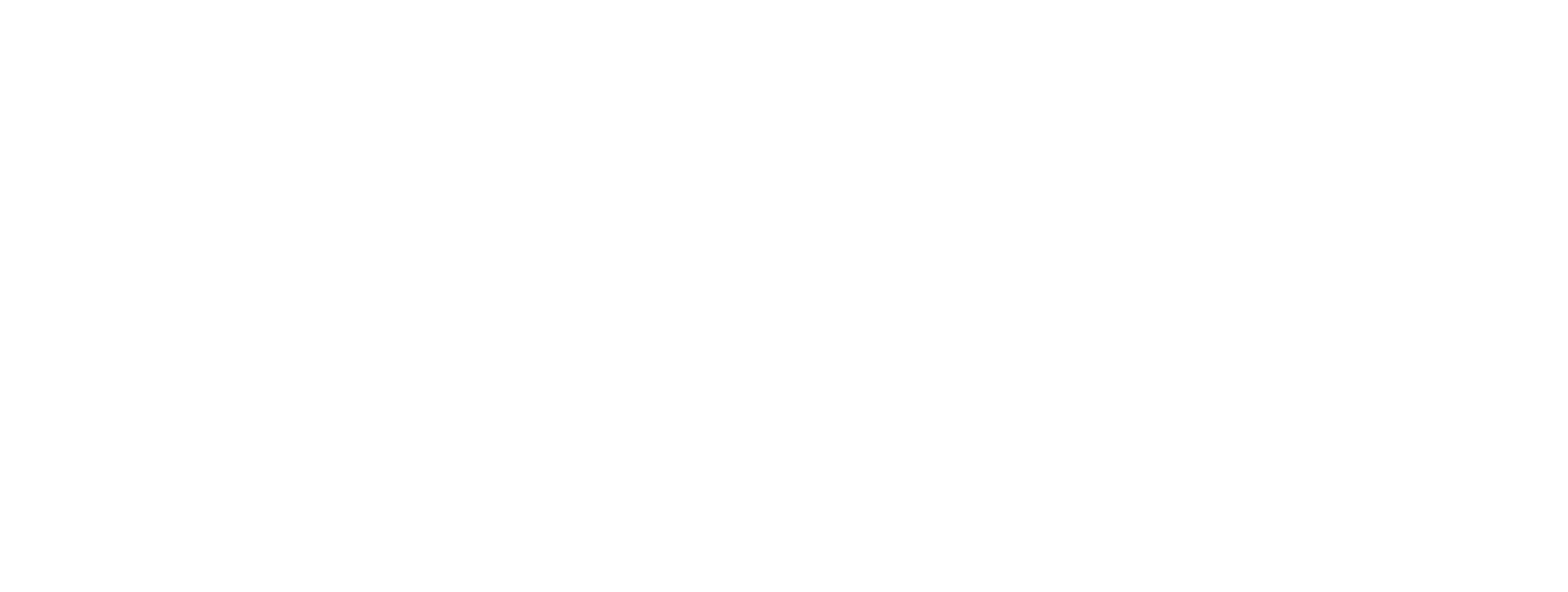 Small White Wordmark